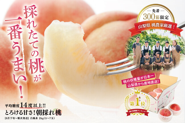 平均糖度14度以上！とろける甘さの“朝採れ桃”6/9より先行販売開始！