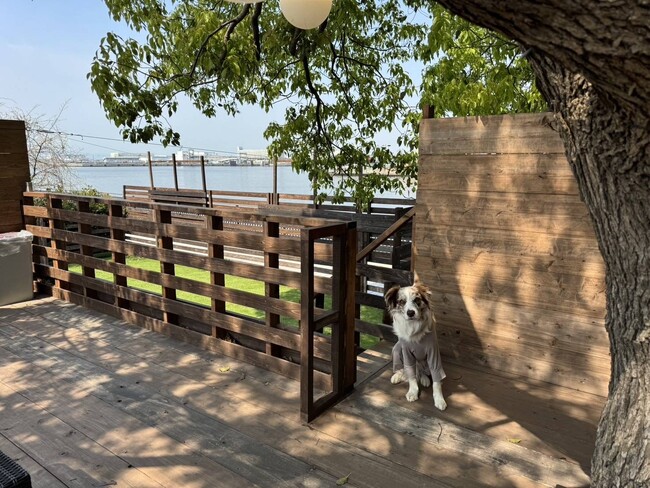 泉大津市なぎさ公園NATURAL DOG PARKに2025年5月新しい貸切区画がオープンしました！