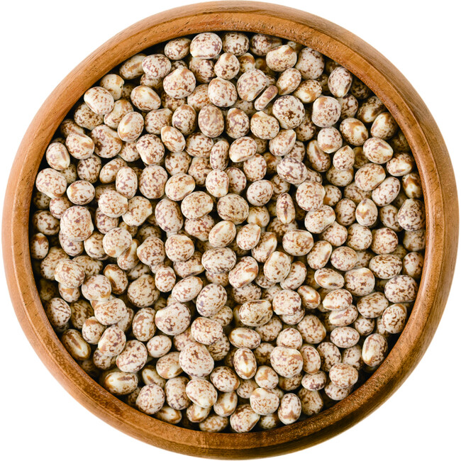 奇跡の豆、ルピナス：サステナブルな未来への農業革命──ルピナス豆のゲノム解析に成功。国産化への第一歩を踏み出す