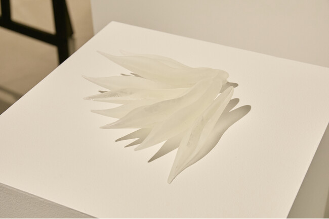miratap Art Award / Art in the House 2025 受賞者発表｜ミラタップ大阪ショールームにて授賞式開催
