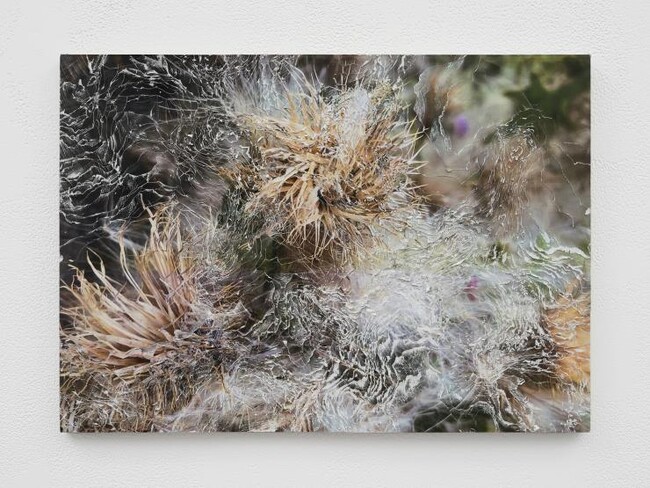 【埼玉県】企画展「Nerhol（ネルホル）」及び関連イベントを開催します！