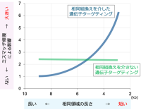 【横浜市立大学】正確なゲノム編集にミスマッチ修復が及ぼす影響を解明