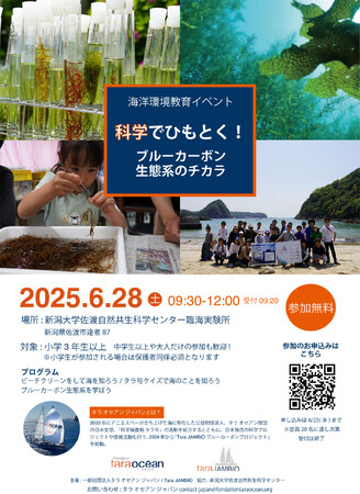 科学で読み解く、佐渡の海のチカラ -ブルーカーボンってなんだろう？