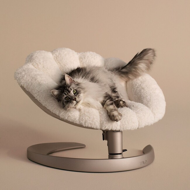 ペットギアブランド「TAVO」から、ペット用ベッド・バウンサー「Shell(TM)（シェル）」登場