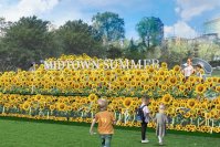 カラフルな日本の夏景色が東京ミッドタウンに勢ぞろい
「MIDTOWN SUMMER 2025」開催　約2,000本のひまわりが広がるフォトスポットが新登場！涼を感じるASHIMIZUも