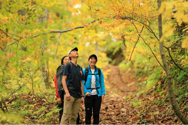 秋の行楽におすすめ！2025年秋の紅葉ツアーを「日本の旅、鉄道の旅」サイトで発売いたします