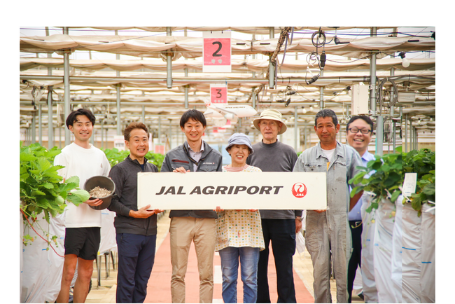 ＜JAL Agriport＞いちご農園にて、エステックの「100％紙製苗止めクリップ」（FSC認証紙）を採用