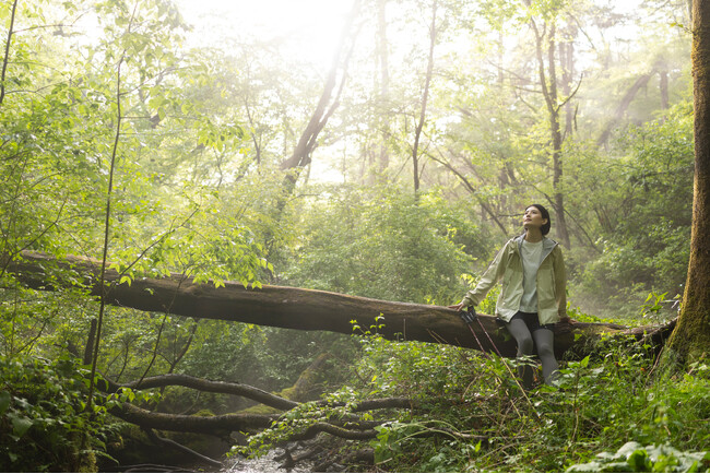 【星のや軽井沢】ウェルネスプログラム「森林養生」を一新。森林浴ウォーキングや鍼灸・ボディケアで心身を調える3泊4日