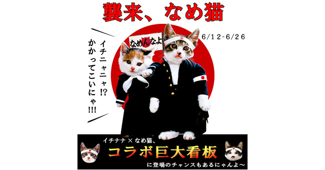 一世を風靡した懐かしの大人気キャラクターと初コラボレーション！『襲来、「なめ猫」』 本日よりスタート
