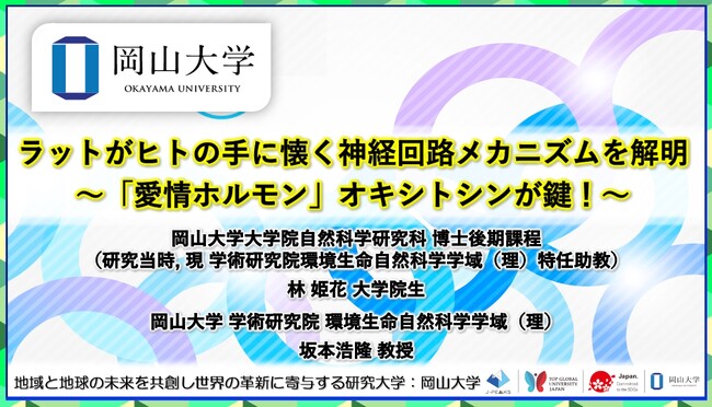 【岡山大学】ラットがヒトの手に懐く神経回路メカニズムを解明～「愛情ホルモン」オキシトシンが鍵！～