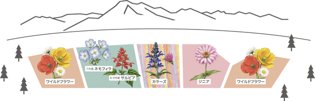 10ヘクタール100万株の広大な花畑「八ヶ岳ガーデンプロジェクト」6月14日（土）プレオープン
