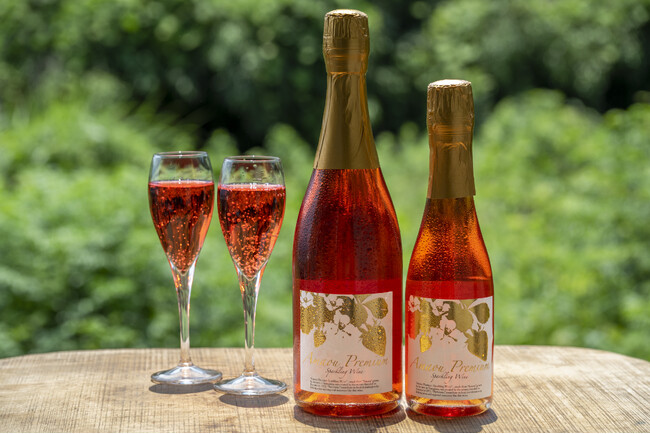 今年も「あまおうプレミアムスパークリングワイン」の販売を開始します!