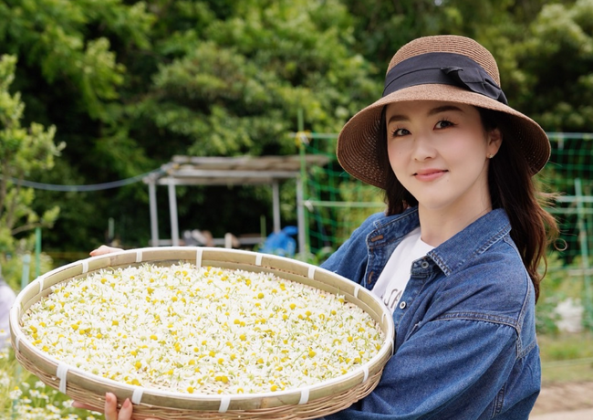 【夏至限定】福岡産・無農薬ハーブ100%使用「清巡 - Seijun -」本日より予約受付スタート！爽やかな初夏ブレンドが登場