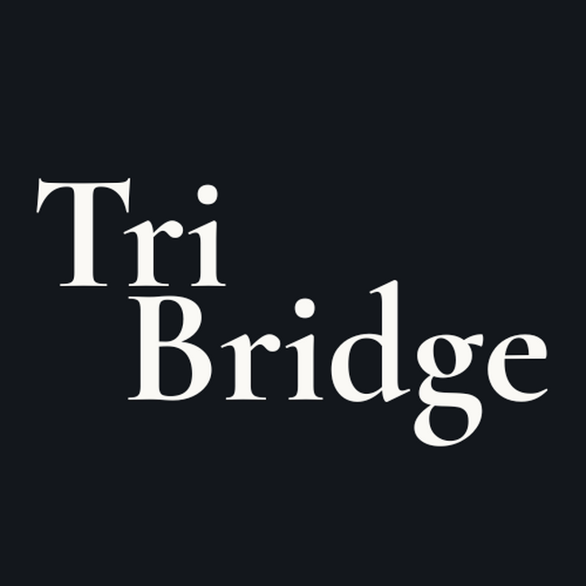 合同会社スターセールズ、社名を「株式会社Tri Bridge」に変更