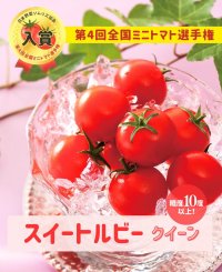 日本野菜ソムリエ協会主催の全国ミニトマト選手権にて、広島アグリネットファームの「スイートルビークイーン」が入賞！