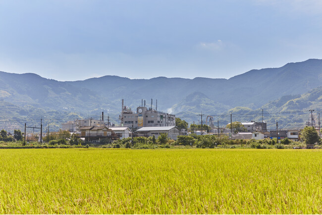 お米の美味しさをライスケミカルの力で向上！独自のペースト状こめ油「ライステロールエステル」が古古米活用の新たな可能性を示唆