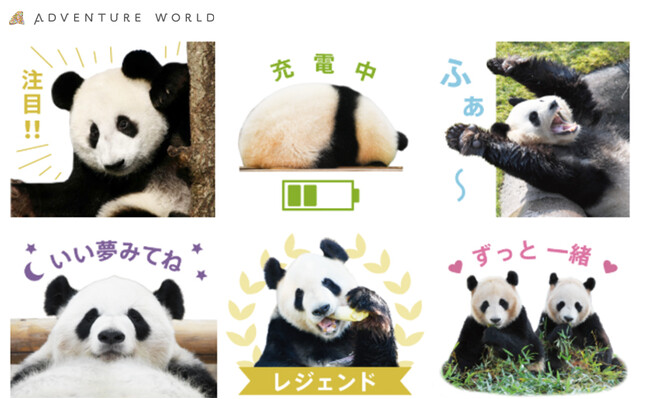 ありがとう！パンダファミリーこれからも、パンダたちと心つながる毎日を。～パンダファミリー２０頭のLINEスタンプ～