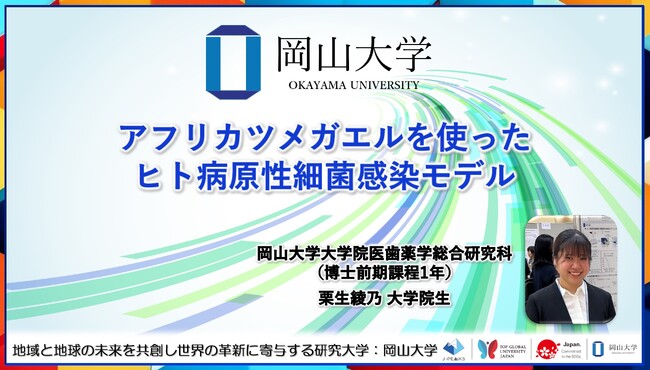【岡山大学】アフリカツメガエルを使ったヒト病原性細菌感染モデル