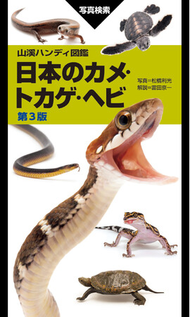 定番の日本の爬虫類図鑑が刷新。ヨウリンウミヘビなど近年の新規記載種を追加した『山溪ハンディ図鑑 日本のカメ・トカゲ・ヘビ 第3版』刊行