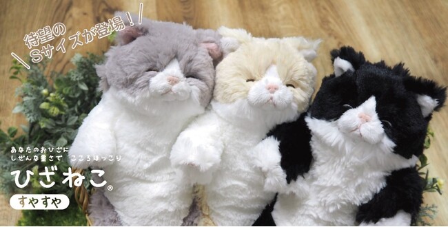 【癒し系ぬいぐるみ】すやすやと眠っている姿が大人気のひざねこにSサイズが登場！