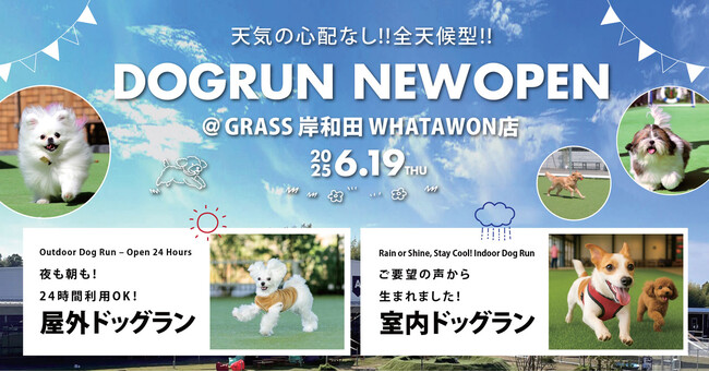 【全天候型ドッグラン】6/19 NEW OPEN！雨の日も猛暑日もOK！愛犬と快適に遊べる室内＆屋外エリア完備｜＠GRASS 岸和田WHATAWON店