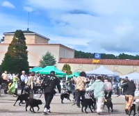 ワンちゃんイベント大盛況！！那須ガーデンアウトレットin with Dogs club【Happy！ワンDaysフェスタ】