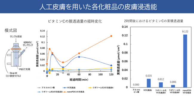リポソームの10倍以上の浸透性。nanoPDS化ビタミンC美容液、臨床試験で実証
