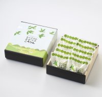 地元高畠産秘伝豆を100％使用した枝豆の香りが特徴の「まめつぶころりん」を本格的な収穫期を前に販売強化を実施　4月～10月までの季節限定商品