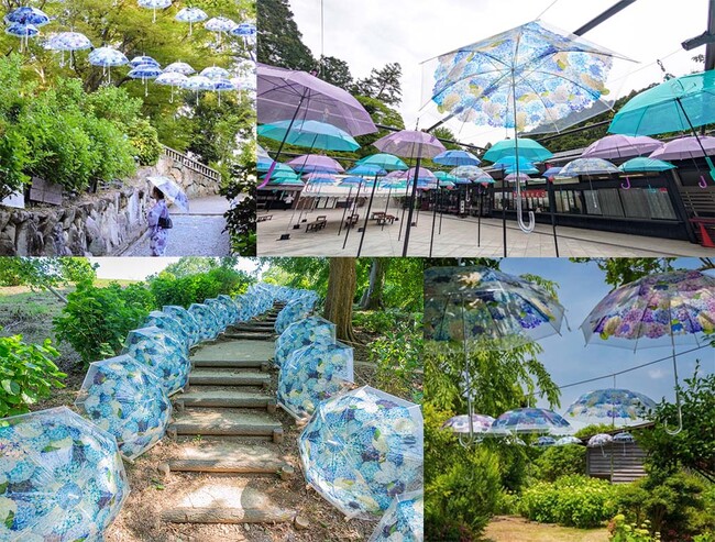 フェリシモ「紫陽花の傘」を使ったアンブレラスカイなど、梅雨の時期のお出かけが楽しくなるフォトジェニックな展示が全国4か所で開催中