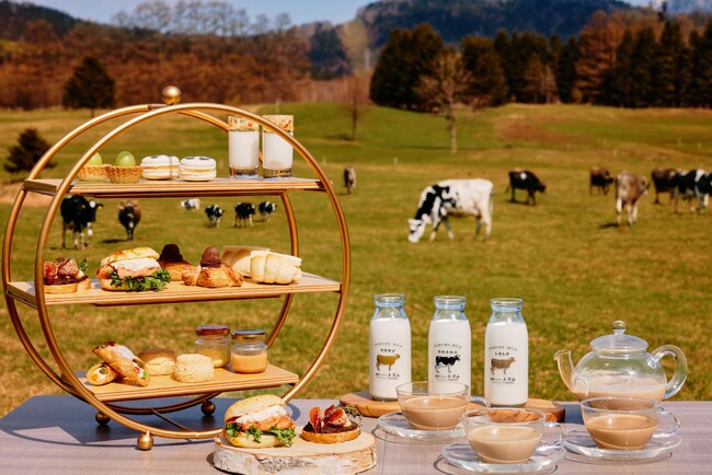 【トマム】黄金色に染まる約100ヘクタールの大草原で秋の北海道を丸ごと堪能する「ファームアフタヌーンティー」を開催