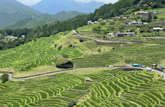 【フェアフィールド・バイ・マリオット 道の駅プロジェクト】三重県熊野市の棚田「丸山千枚田」の「案山子作り教室」に参加！