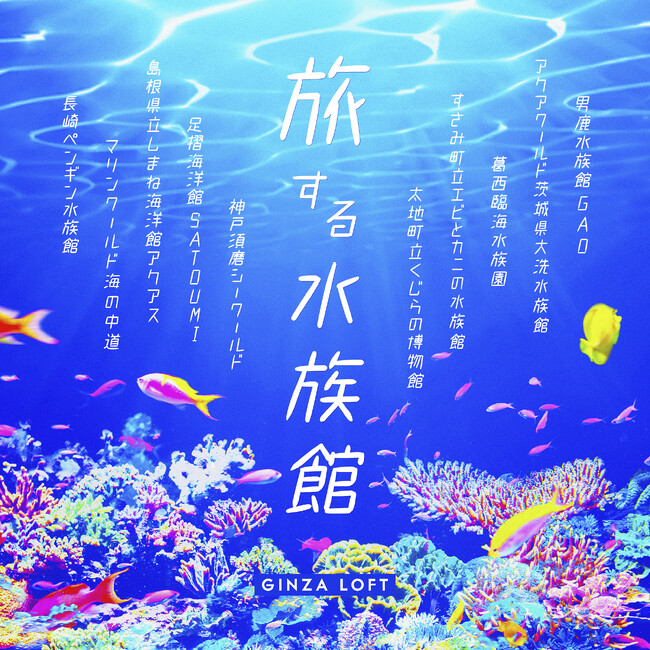 【ロフト】銀座ロフトの人気企画、今年も開催！「旅する水族館　2025」