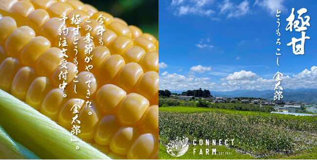 【毎年完売♪】一度食べたら忘れられない 