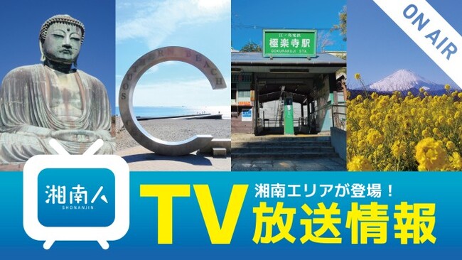湘南人が日本テレビ系列『ヒルナンデス！』　2025年7月3日（木）放送予定の鎌倉特集で取材協力を行いました