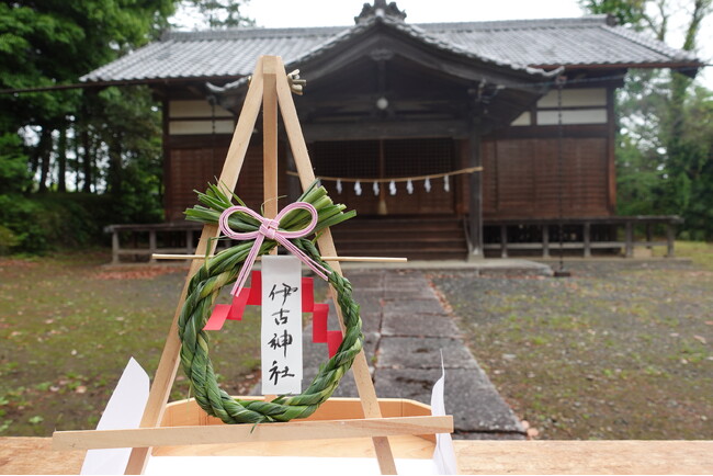 【JAF埼玉】「JAFデー 茅の輪づくり・ブルーベリー狩り体験ツアー」を開催します！