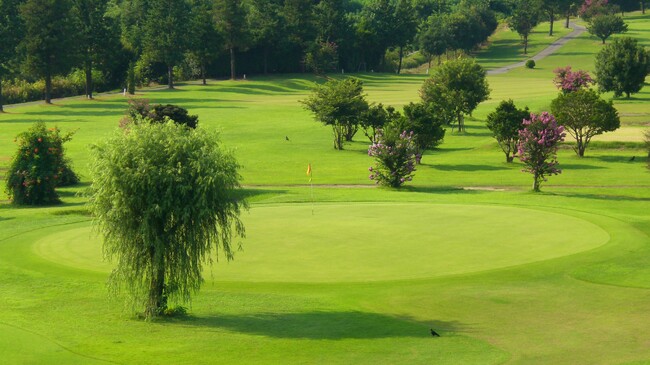 ZENGOLF、 都心から好アクセスのリバーサイドフェニックスGCの運営開始 ー 事業をアウトドア領域へ拡張