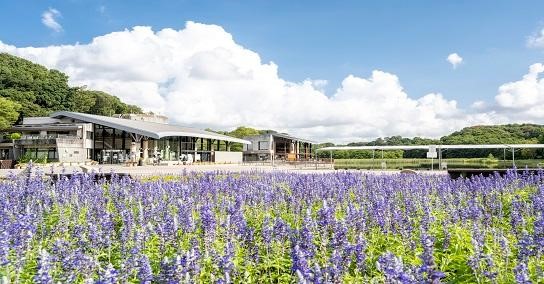 みどりの愛護が紡ぐ地方創生松戸市が積極的に取り組む公園整備やSDGsをご紹介