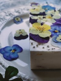 お中元・サマーギフトにぴったり！ヘルシーで見た目もかわいい「ビオラ＆果物のレアチーズケーキ」7月より販促強化を実施