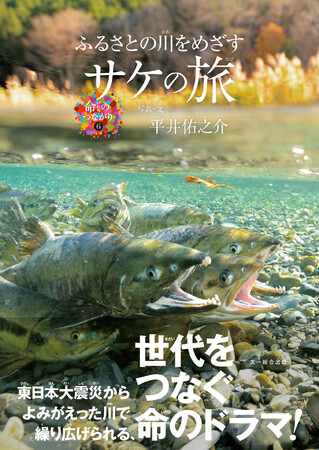 『令和7年度 児童福祉文化賞推薦作品』選出！震災の影響を受けた故郷の川へかえるサケを、10年に渡り観察した著者による珠玉の写真絵本【ふるさとの川をめざす サケの旅】