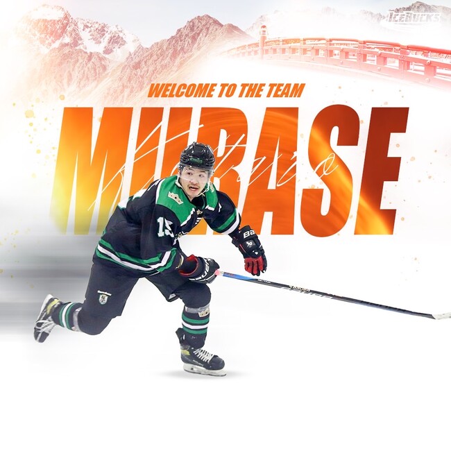 【H.C.栃木日光アイスバックス】新加入選手のお知らせ No.15 村瀬鼓太郎選手