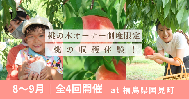 【8～9月開催】桃の収穫体験！＠福島県国見町