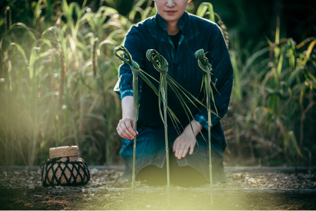【星のや竹富島】島の文化を最も色濃く感じられる秋を堪能する「ミーニシ島時間」のご提案