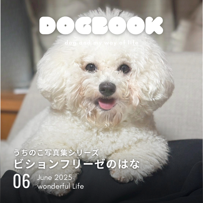 我が家のわんこの写真集が出版できる!「うちのこ写真集」シリーズ第6弾『ビションフリーゼの華子』が発売