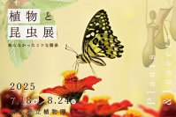 夏休みの自由研究はこれで決まり！植物と昆虫のふしぎな関係に迫る『植物と昆虫展』を7月18日～8月24日に京都府立植物園で開催