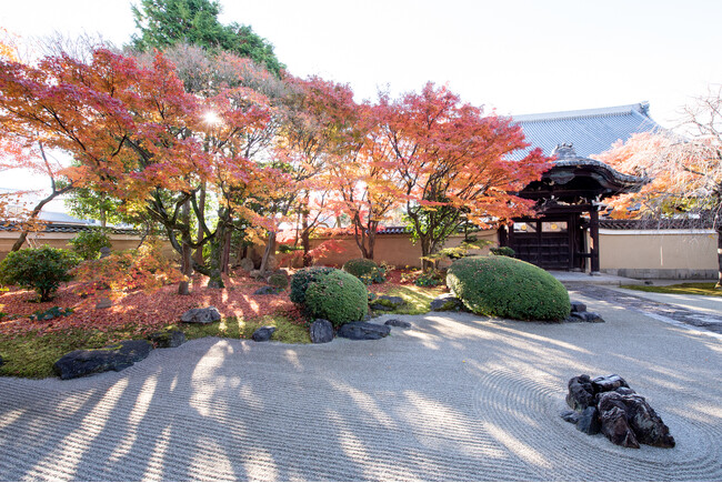 「工芸」と「近代洋画」に注目するアートフェア「CURATION⇄FAIR Kyoto」2025年11月16日（日）− 18日（火）京都で初開催決定！