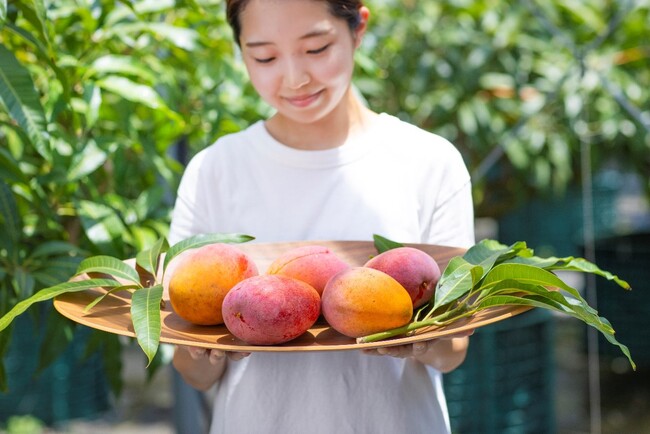 宮崎発、完熟果実の夏ギフト いちごポタジェの有機ライチ＆マンゴー販売開始のお知らせ
