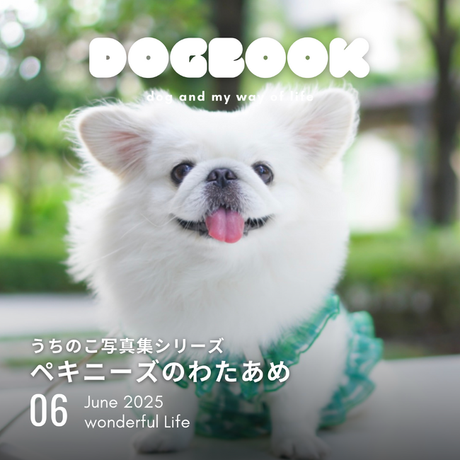 うちのペットの写真集が国会図書館に！「うちのこ写真集」シリーズ第4弾『ペキニーズのわたあめ』の電子書籍版が発売！