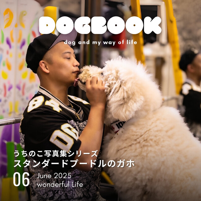 看板犬の写真集を簡単に出版できる「うちのこ写真集」シリーズ第5弾『スタンダードプードルのガホ』の電子書籍版が発売決定！