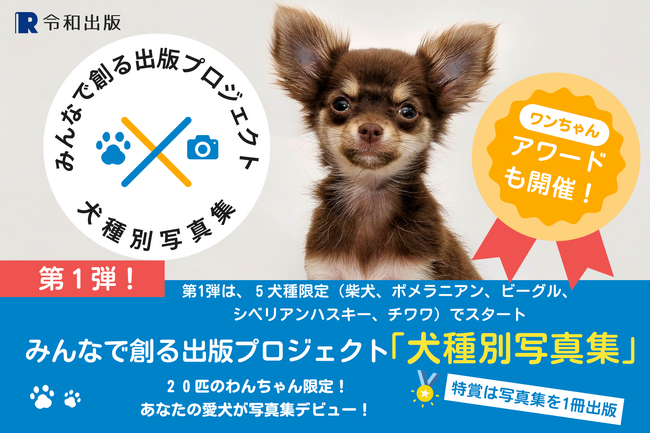 チワワ部門の募集開始！参加費完全無料：2025年度版 みんなでつくる「犬種別写真集」プロジェクト～特賞は愛犬だけの写真集