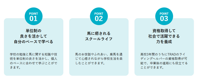 【不登校支援】馬と触れ合いながら学び社会性を身に着ける動物介在教育を導入